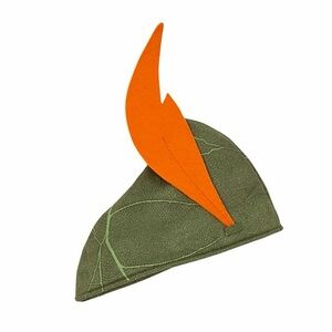 Walt Disney's world Peter‎ Pan kids hat